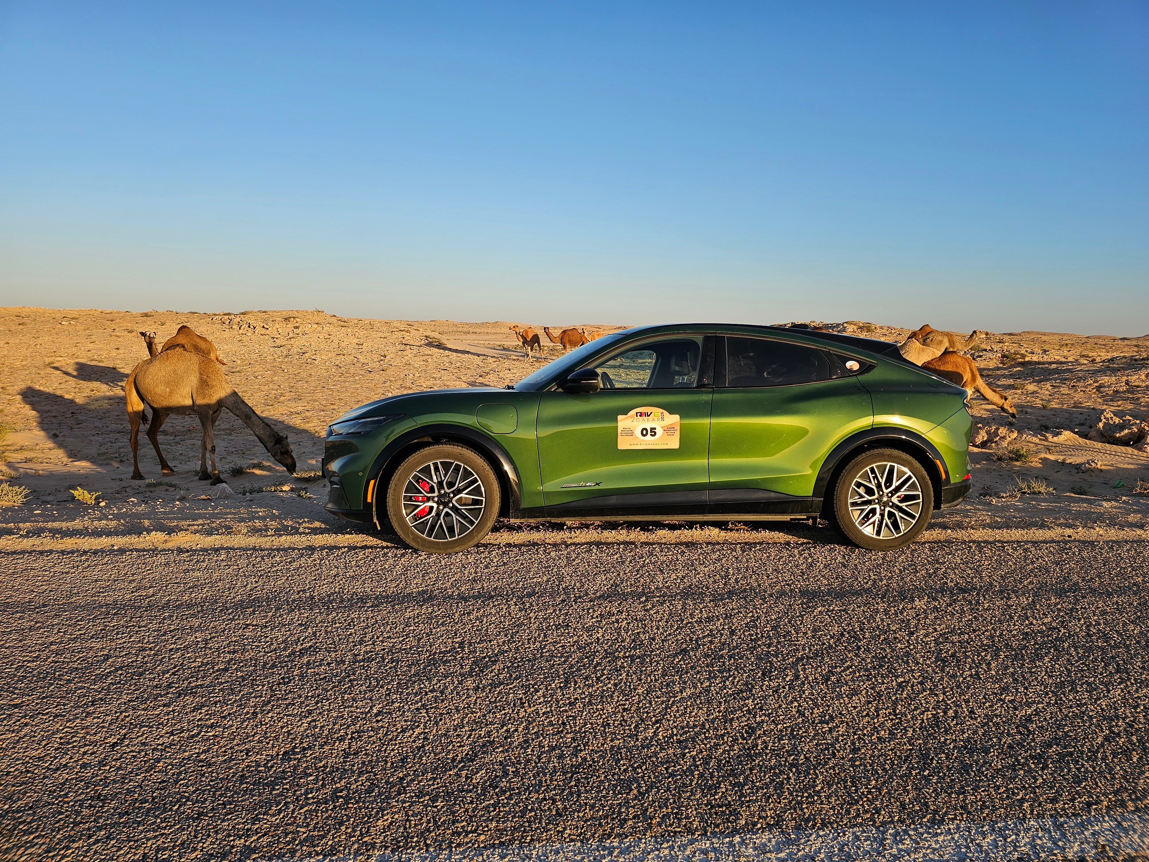 Mustang Mach-E meeting some locals in Africa on its 12,500 kilometer journey. Credit: OEKONEWS